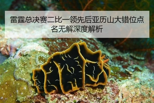 雷霆总决赛二比一领先后亚历山大错位点名无解深度解析 | 8868tiyu